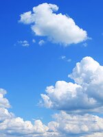 Rudolph  Morton, Sr.